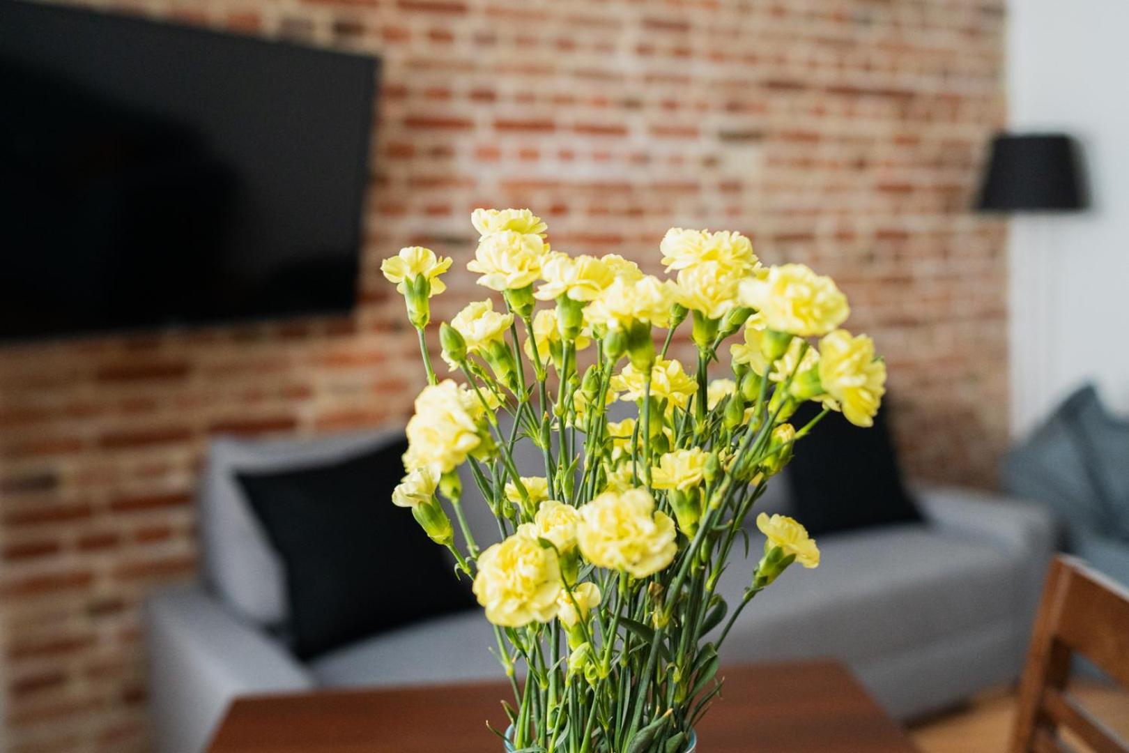 Big Apart - Nice Design - 3 Rooms - Wroclaw City Centre 外观 照片